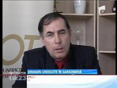 Droguri crescute in garsoniera