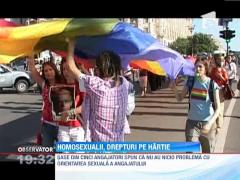 Homosexualii si lesbienele din Romania, drepturi pe hartie