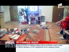 Fa-ti animalul vedeta! Pussy face gimnastica