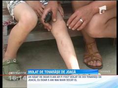 Un baiat de noua ani, violat de doi copii cu cativa ani mai mari ca el