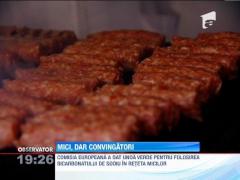 Unda verde pentru folosirea bicarbonatului de sodiu in reteta micilor