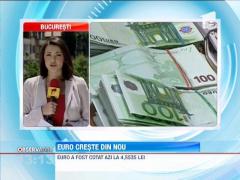 4.5535 lei/euro, cel mai mic nivel al leului, din 2013