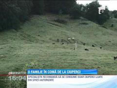 UPDATE:Familie intoxicata cu ciuperci, in Sibiu