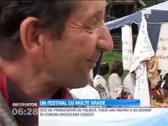 Festivalul tuicii de la Cosesti