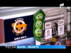 O americanca are cea mai mare colectie de magneti din lume