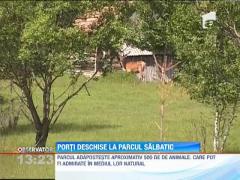 Porti deschise la Parcul Salbatic din Harghita