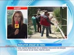 Ingrijitor atacat de tigru la Gradina Zoologica din Brasov