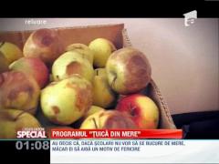 Merele destinate de Guvern elevilor, transformate in tuica