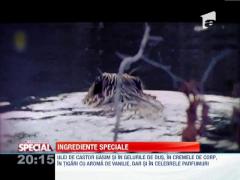 SPECIAL! Ingredinetele bizare din alimente