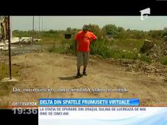 Delta Dunarii, departe de frumusetea din filmuletele pentru turisti