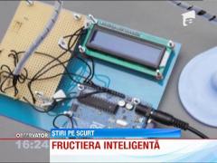 S-a inventat fructiera care ne avertizeaza cand fructele nu mai sunt proaspete