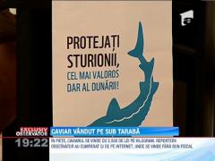 EXCLUSIV!!! Trufandale vandute ca-n perioada comunista! Pe sub tarabe, comerciantii ascund icre negre