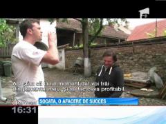 Socata, o afacere de succes