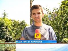 Romania se topeste! 40 de grade Celsius la umbra