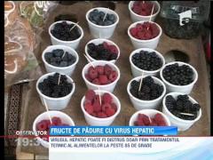 Zeci de tone de fructe de padure, contaminate cu virusul hepatic A