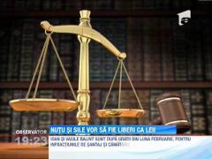 Nutu Camataru vrea libertate pentru leii sai