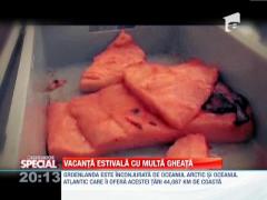 OBSERVATOR SPECIAL: Vacanta de vis in Groenlanda