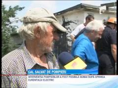 Operatiune spectaculoasa de salvare a unui cal cazut intr-un camin subteran