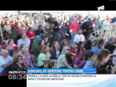 Concurs de uratenie pentru caini