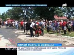 IMAGINI SOCANTE! Au biciuit un bou pentru ca a dat peste cap un obicei vechi