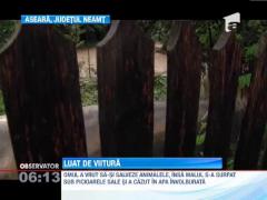 Barbat ucis de viitura, in Neamt