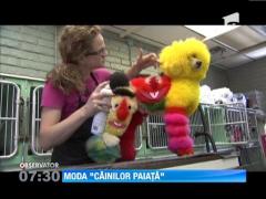 Moda "cainilor paiata"