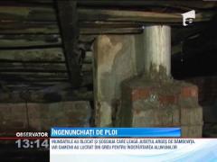 Inundatiile fac ravagii in judetul Dambovita