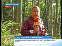 Cazul Elodia, cel mai scump dosar din istoria Romaniei