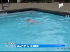 Bebelus campion la inot