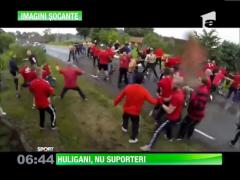 Huliganii de la Goteborg si Helsingborg s-au batut ca-n luptele de MMA