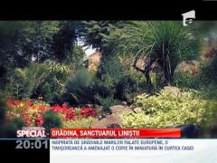 SPECIAL! O timisoreanca si-a construit o gradina inspirata de cele de la Versailles
