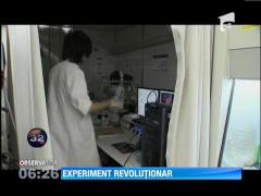 Cercetatorii japonezi au creat un ficat uman din celule stem