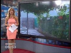 Legatura dintre Ziua Lupului si vreme