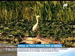 Borsul de peste din Delta i-a cucerit pe straini