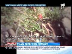 Accidentul din Muntenegru / Cu pretul vietii ei, o mama si-a salvat fiica