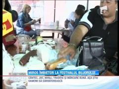 Miros imbietor la Festivalul Bujorului