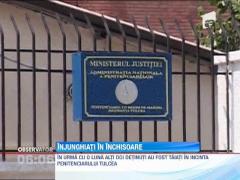 Tulcea: 13 detinuti s-au luat la bataie in curtea penitenciarului