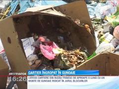 Cartier din Buzau, ingropat in gunoaie
