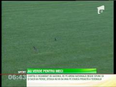 Cosmin Contra, nemultumit de starea gazonului de pe Arena Nationala