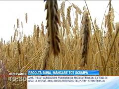 Recolta buna, mancare tot mai scumpa