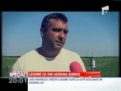 SPECIAL! Legume ca in gradina bunicii, cu abonament anual