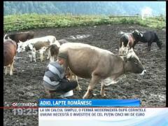 Lapte romanesc, in pericol de a nu mai putea fi comercializat