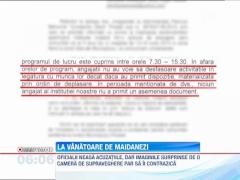 Hingherii din Ploiesti ies la vanatoare de maidanezi in miez de noapte