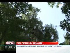 SPECIAL! Parcul Sipote a ajuns o ruina!