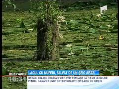 Lacul cu nuferi din Baile 1 Mai, salvat de un print arab