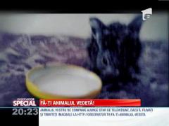 Fa-ti animalul vedeta! Iepuras mancacios