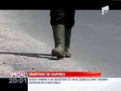 SPECIAL! Meseria de ciupercar