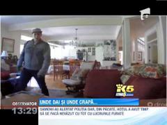 Un american a inventat o aplicatie pentru supravegherea animalului de companie