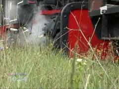 Celebra locomotiva "Mocanita", repusa pe sine