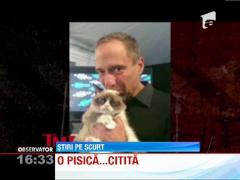 O pisica din Statele Unite a devenit faimoasa pentru chipul ei "plictisit"